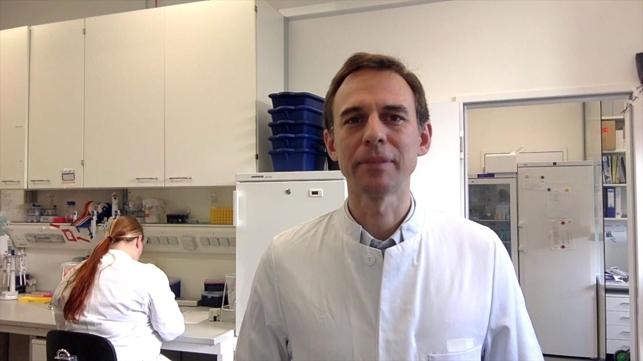Postoperative ileus: the regulatory role of dendritic cells and the intestinal microbiome