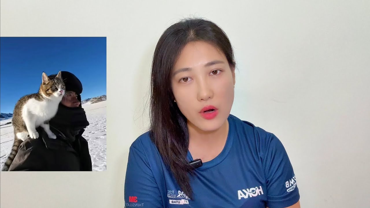 全网痛悼一只叫“悟空”的猫，b站骑行博主赵朔捡到“流量密码”，爆火和非议背后。。