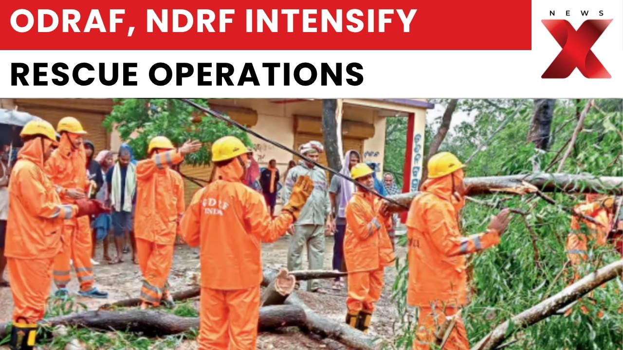 Odisha Floods: NDRF and ODRAF Teams Deployed for Rescue, Relief in Bhadrak District | NewsX