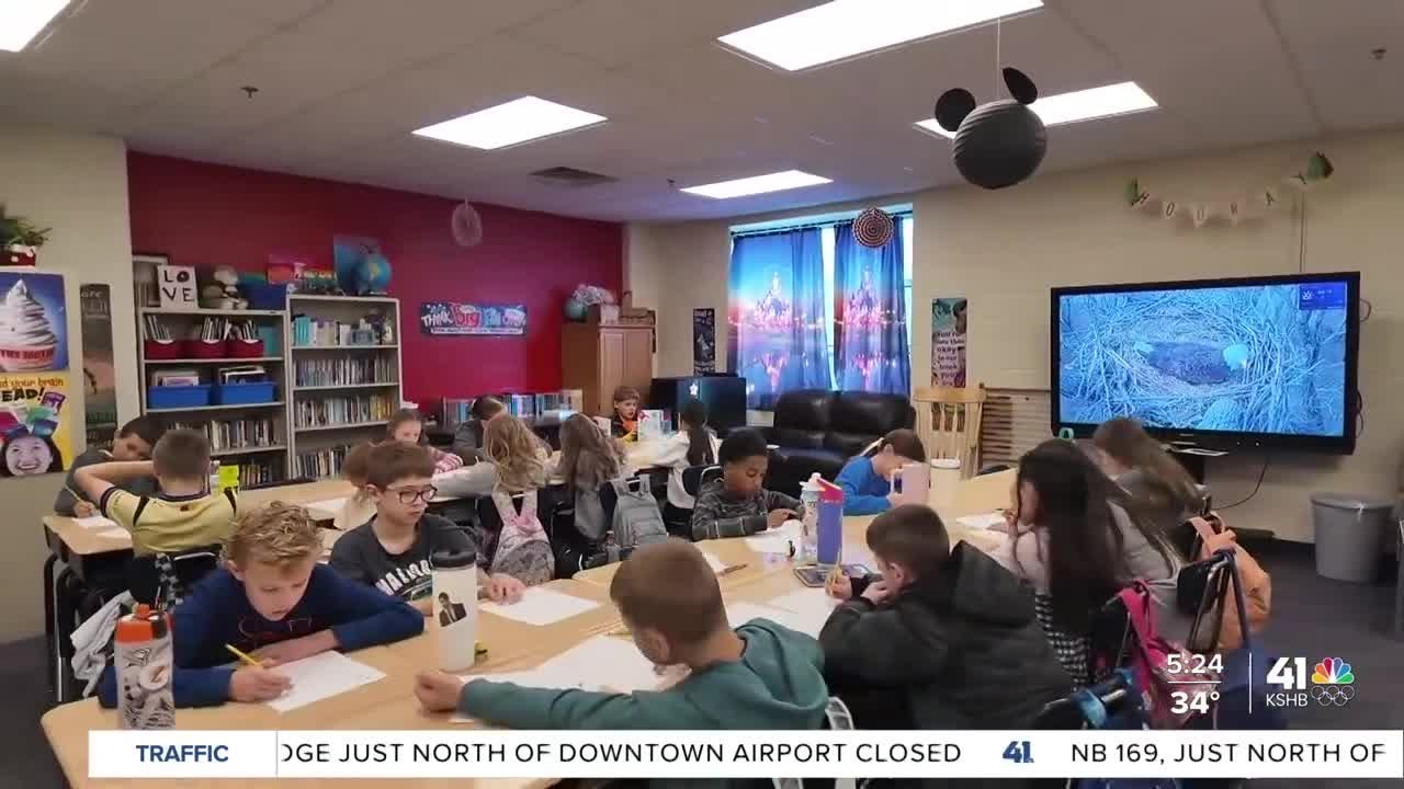 Blue Springs bald eagle cam becomes classroom tool for Grain Valley 5th graders
