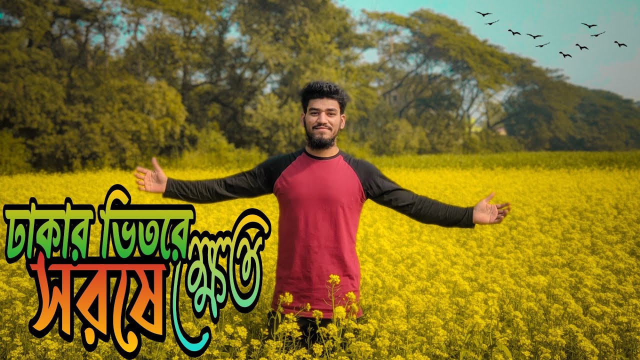 সরিষা ক্ষেত দেখতে ঢাকার আশপাশে কোথায় যাবেন ?সরিষা ক্ষেত - Mustard Flower । Keraniganj কেরানীগঞ্জ