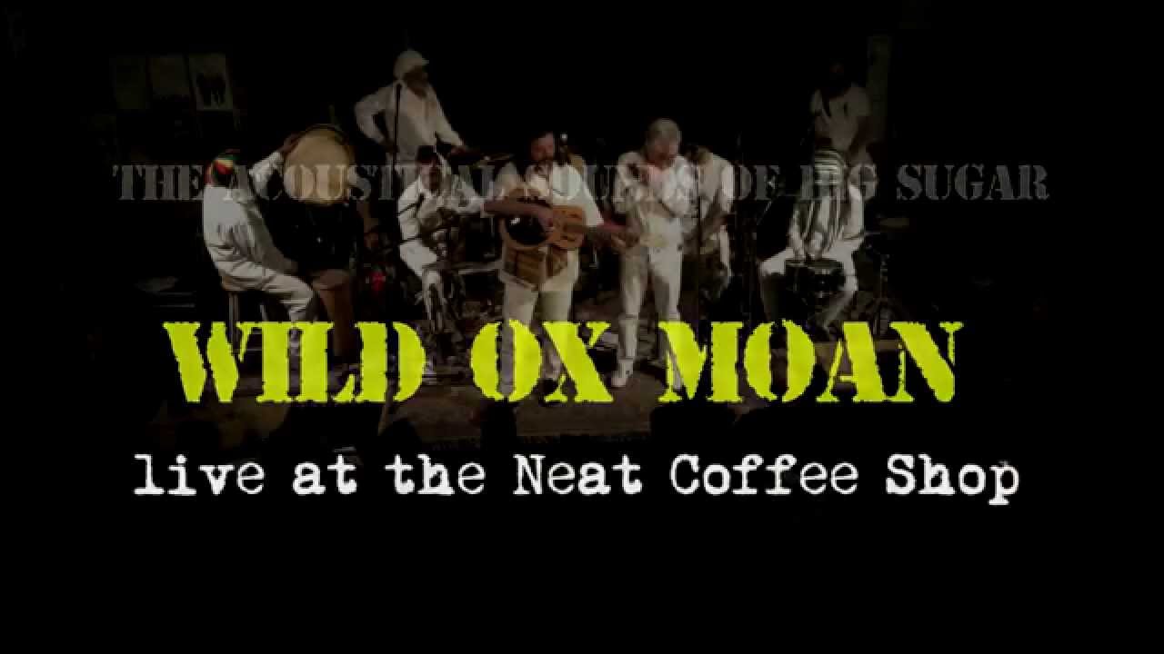Wild Ox Moan - The Acoustical Sounds of Big Sugar
