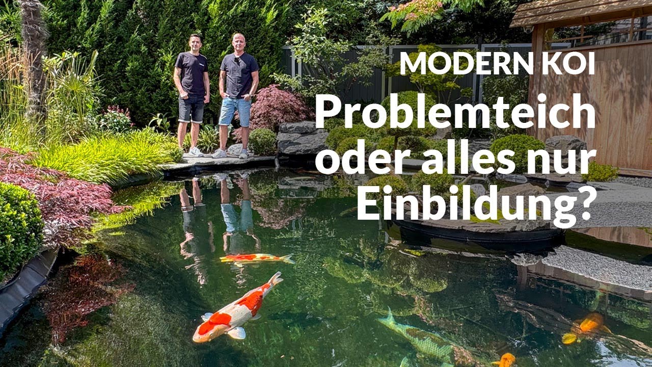 Thorsten und Timos richtig schöner selbst angelegter Garten | Modern Koi Blog #7085