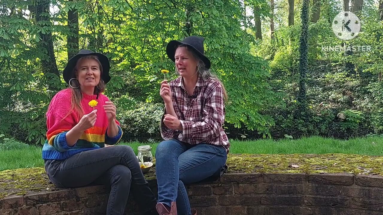 Oogst tip 3: nu in de natuur paardenbloem bloem, en hoe te eten