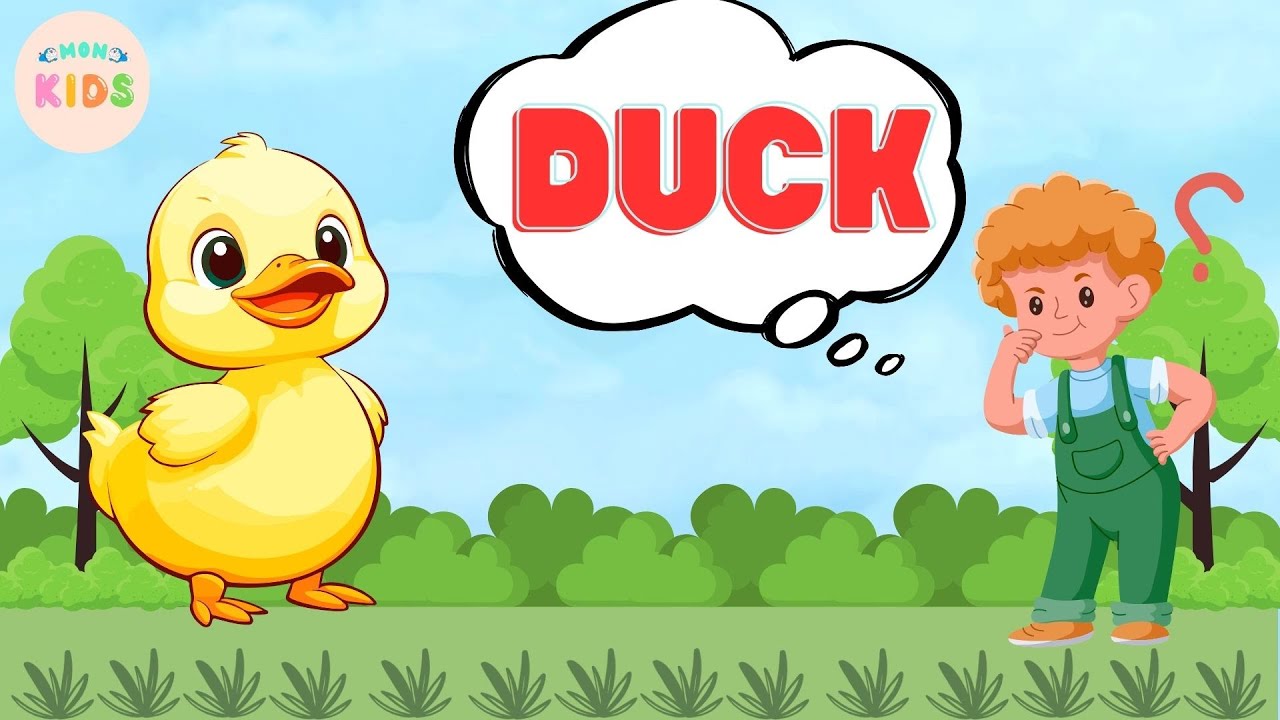 Duck Facts For Kids 🦆 Learn All About Ducks | MON Kids