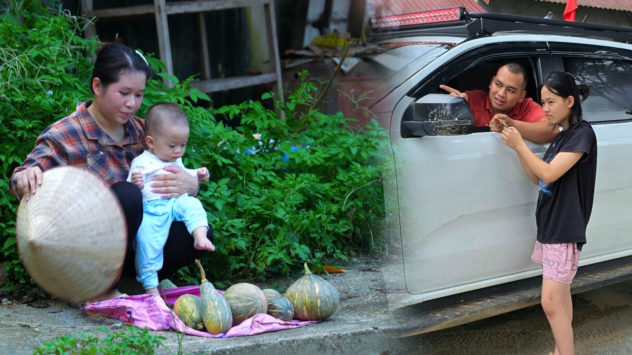 CEO Duong used money to do this to Ly Thi Ly - Harvesting the pumpkin garden to sell