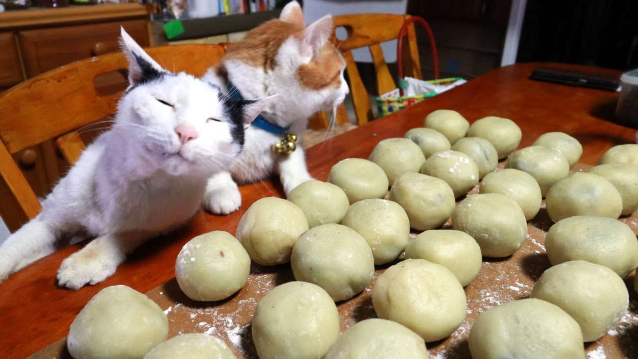 猫たちと春彼岸まんじゅう作り　2024　240319