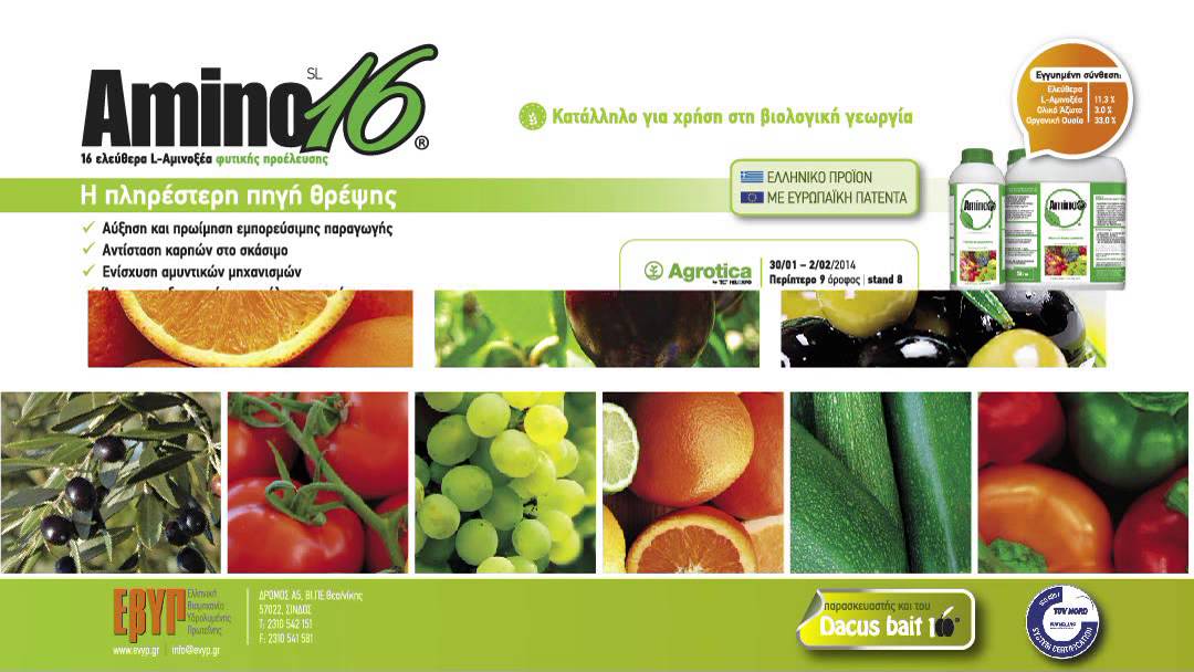 παρουσίαση του Amino 16 και Dacus bait 100