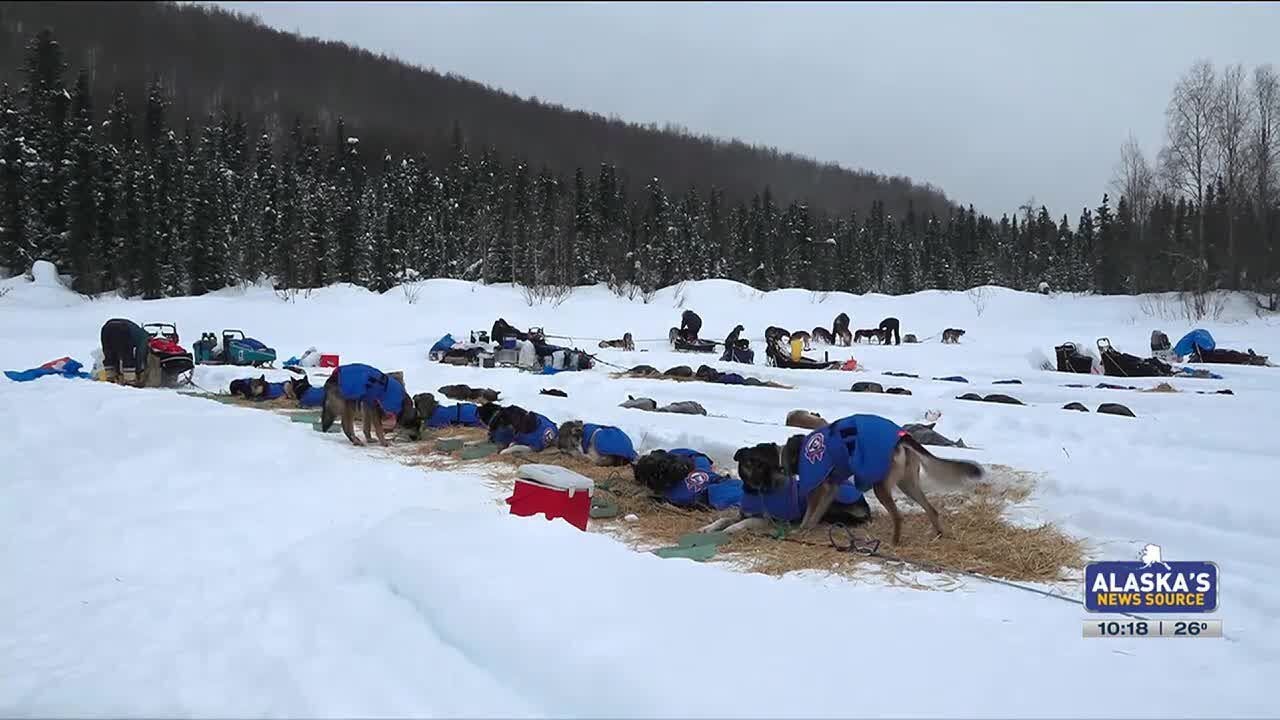 Learning what life is like for an Iditarod rookie