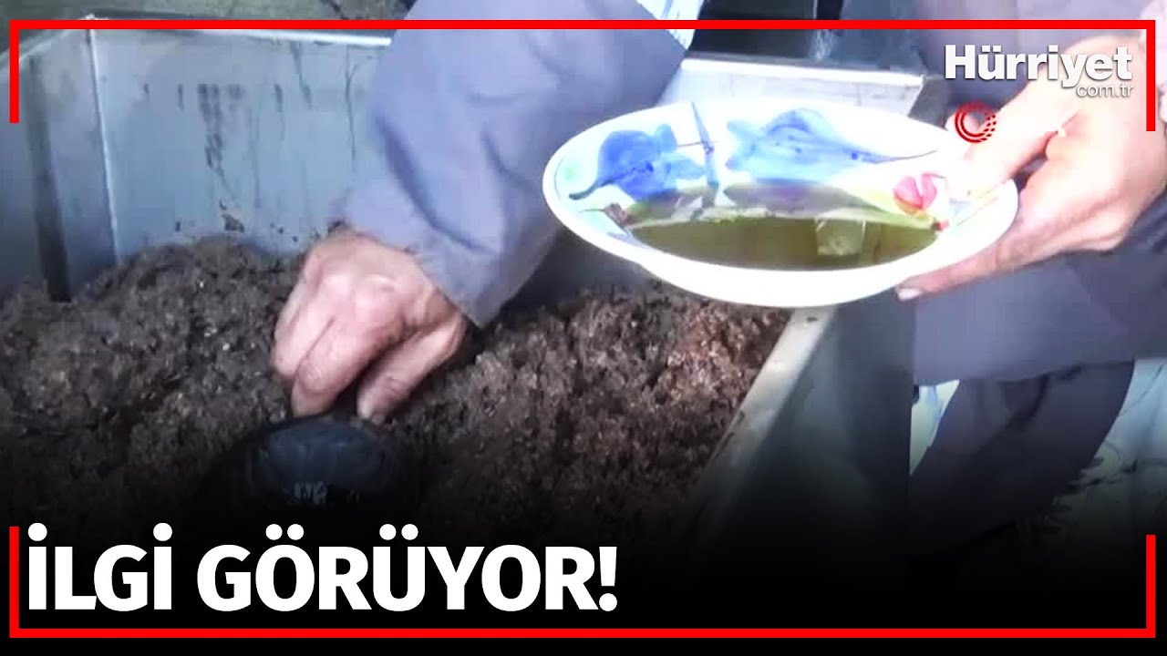 Kilosu 400 ile 600 Lira Arasında... Bu da Zeytin Sütü!
