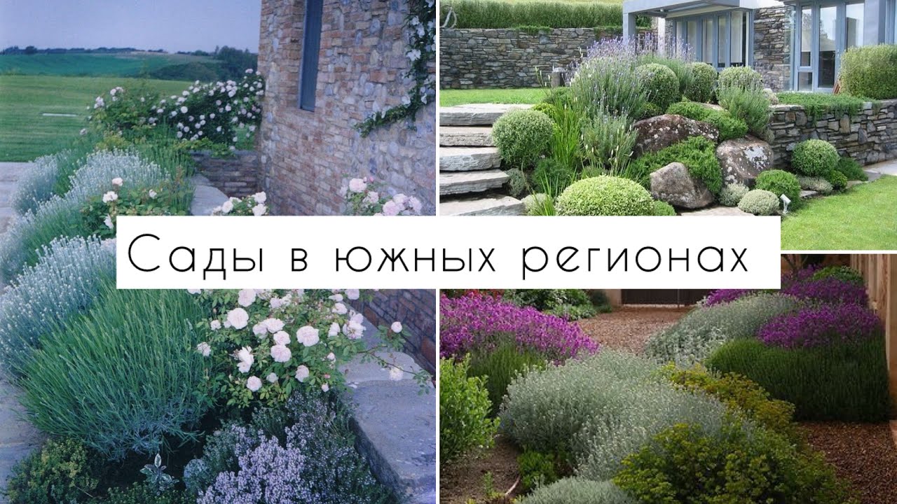 Южные сады | Ландшафтный дизайн в южном регионе
