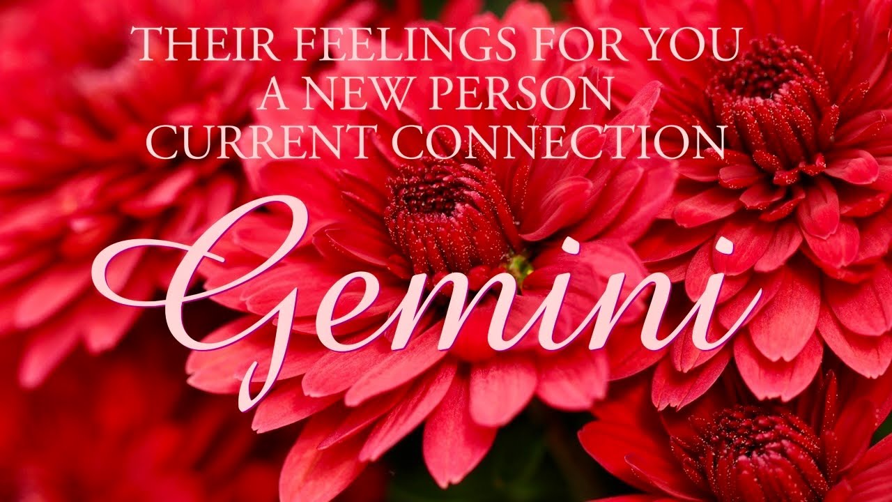 GEMINI tarot love ♊️ They Will Apologise For This Gemini You Need To Hear This
