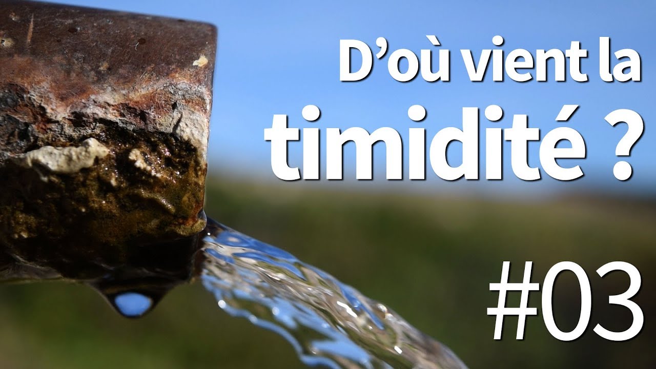 D'où vient la timidité ?