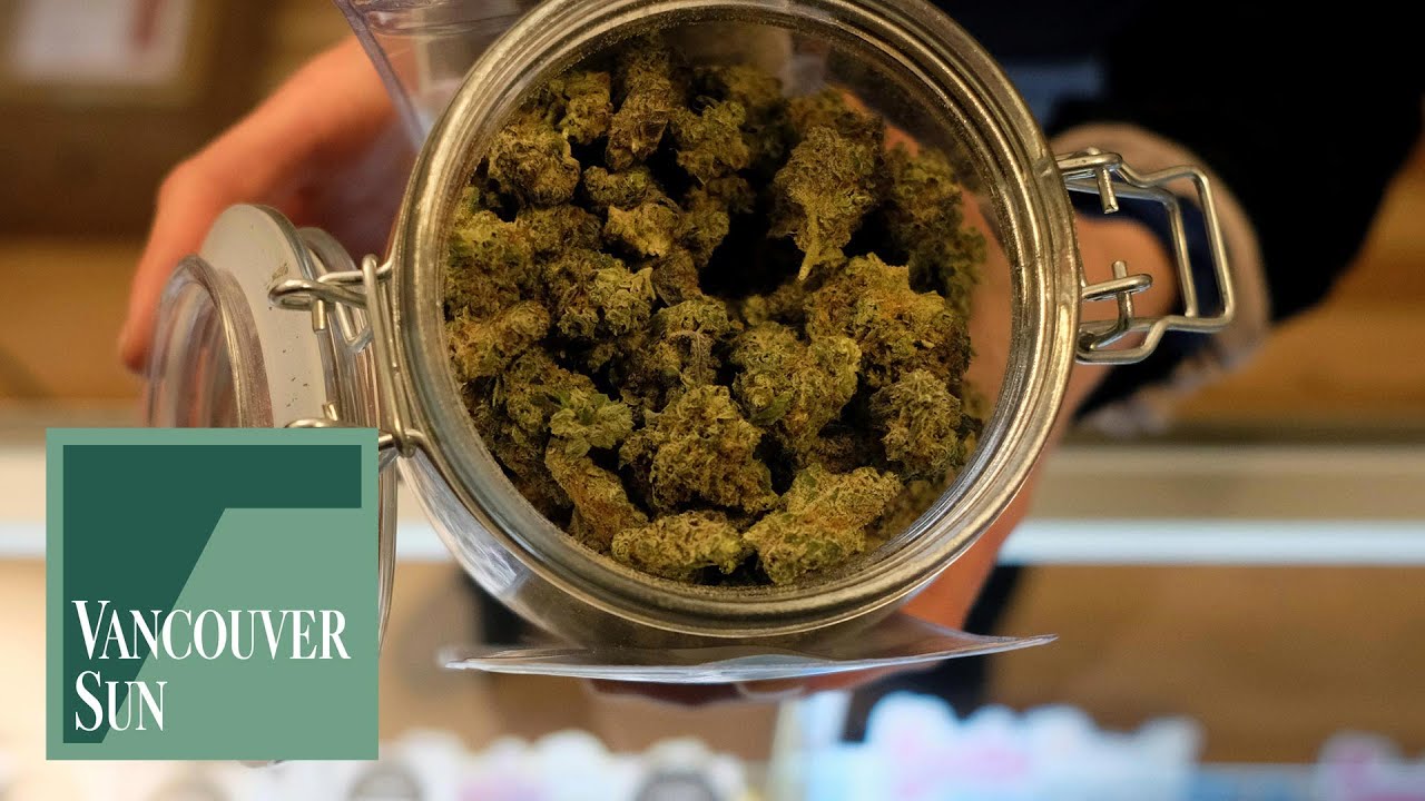 Cannabis black market still thriving | Vancouver Sun
