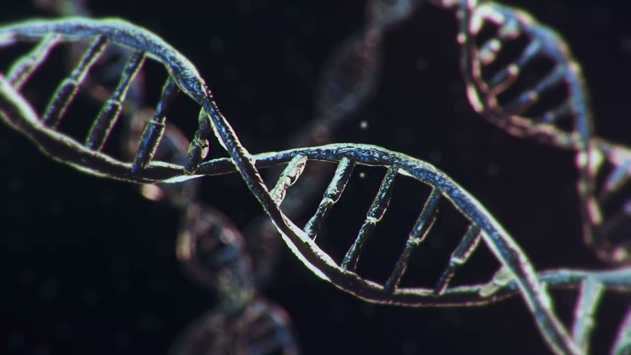 DNA 🧬 4K 3D Animation Background V4 - Free Video / Medical Background Video / No Copyright #dna