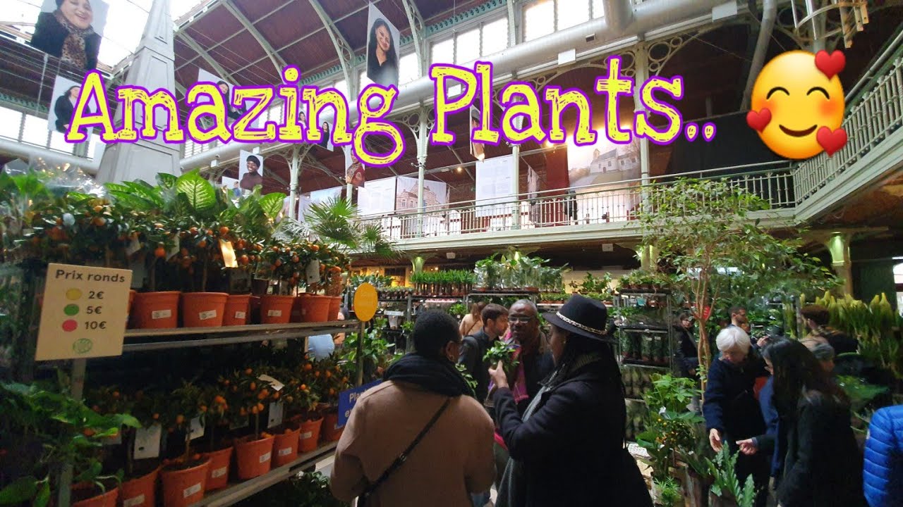 Grande Vente de Plantes Bruxelles No. 15