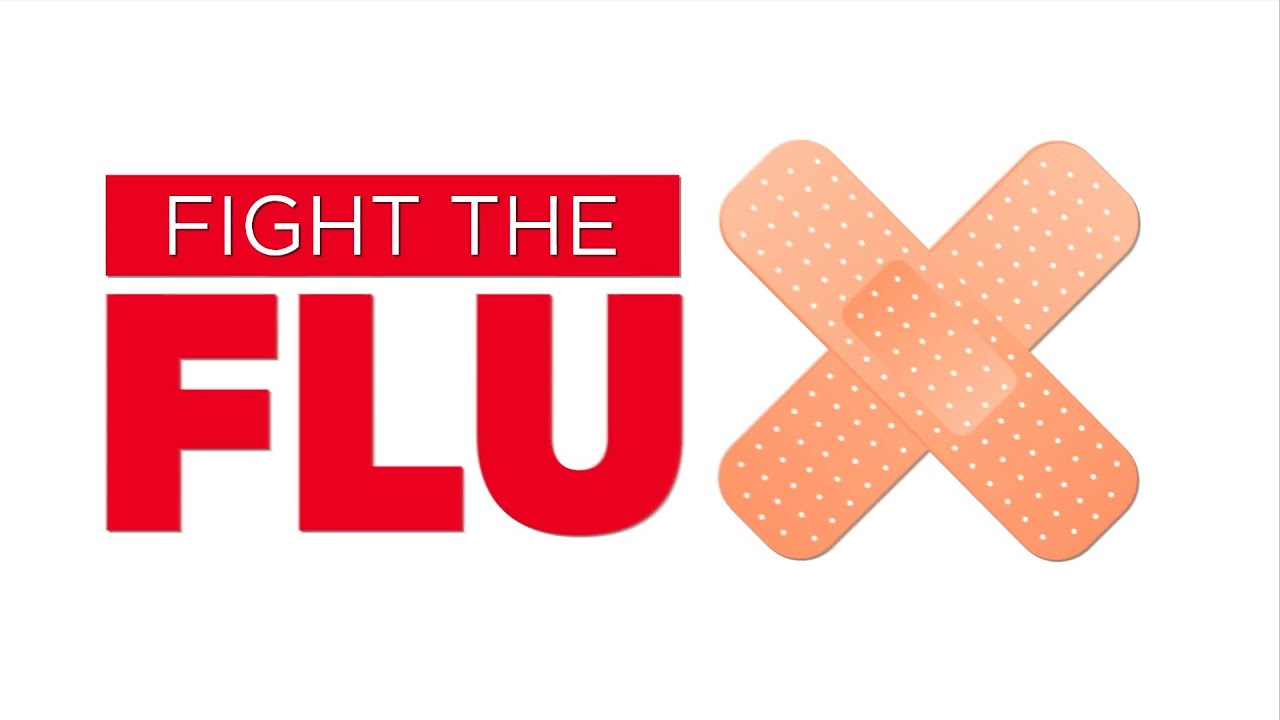 Fight the Flu