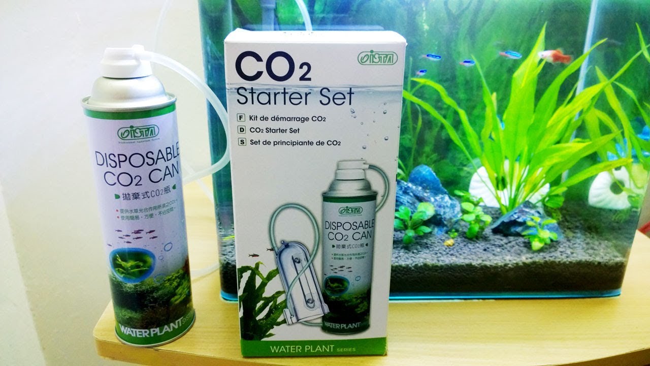 Обзор стартового набора Ista CO2 — недорогой набор для диффузора CO2