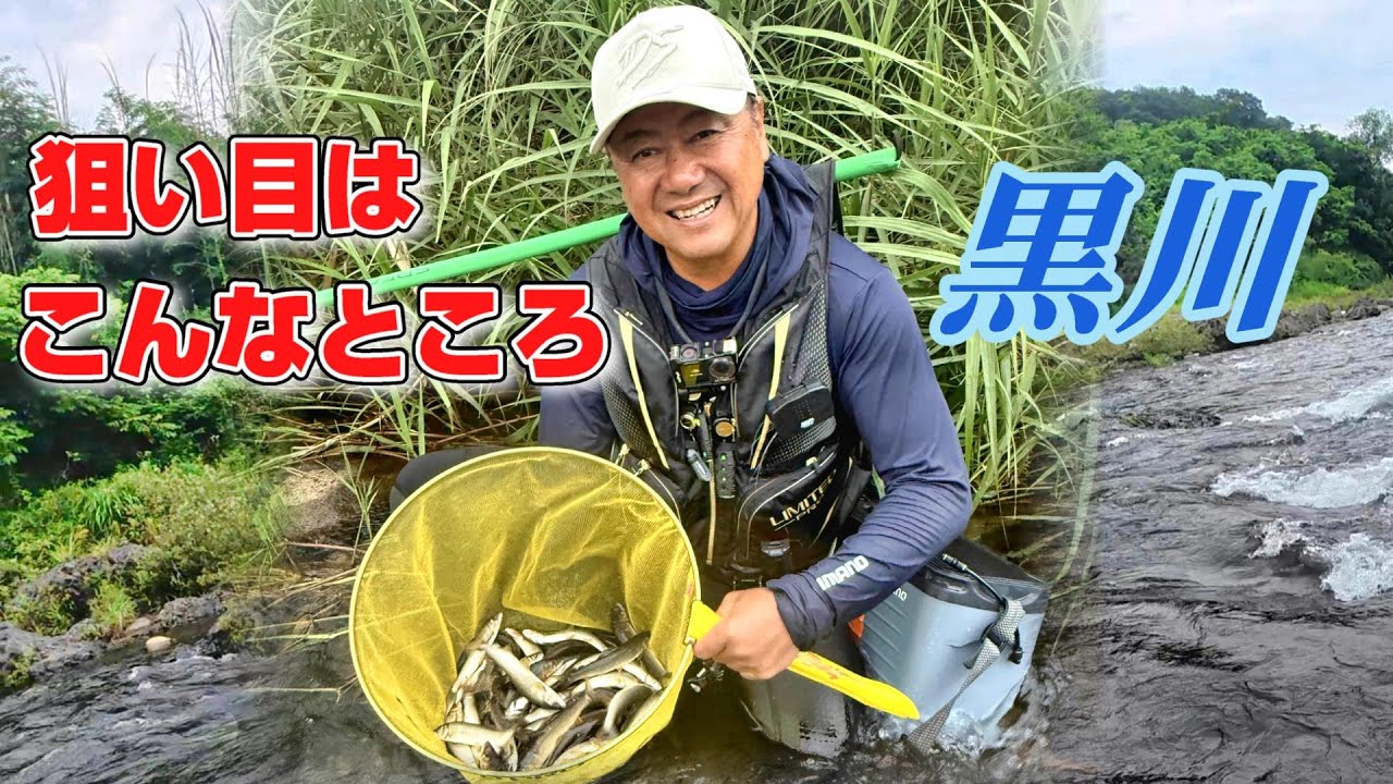 【鮎釣り】黒川 狙い目はこんなところ❗