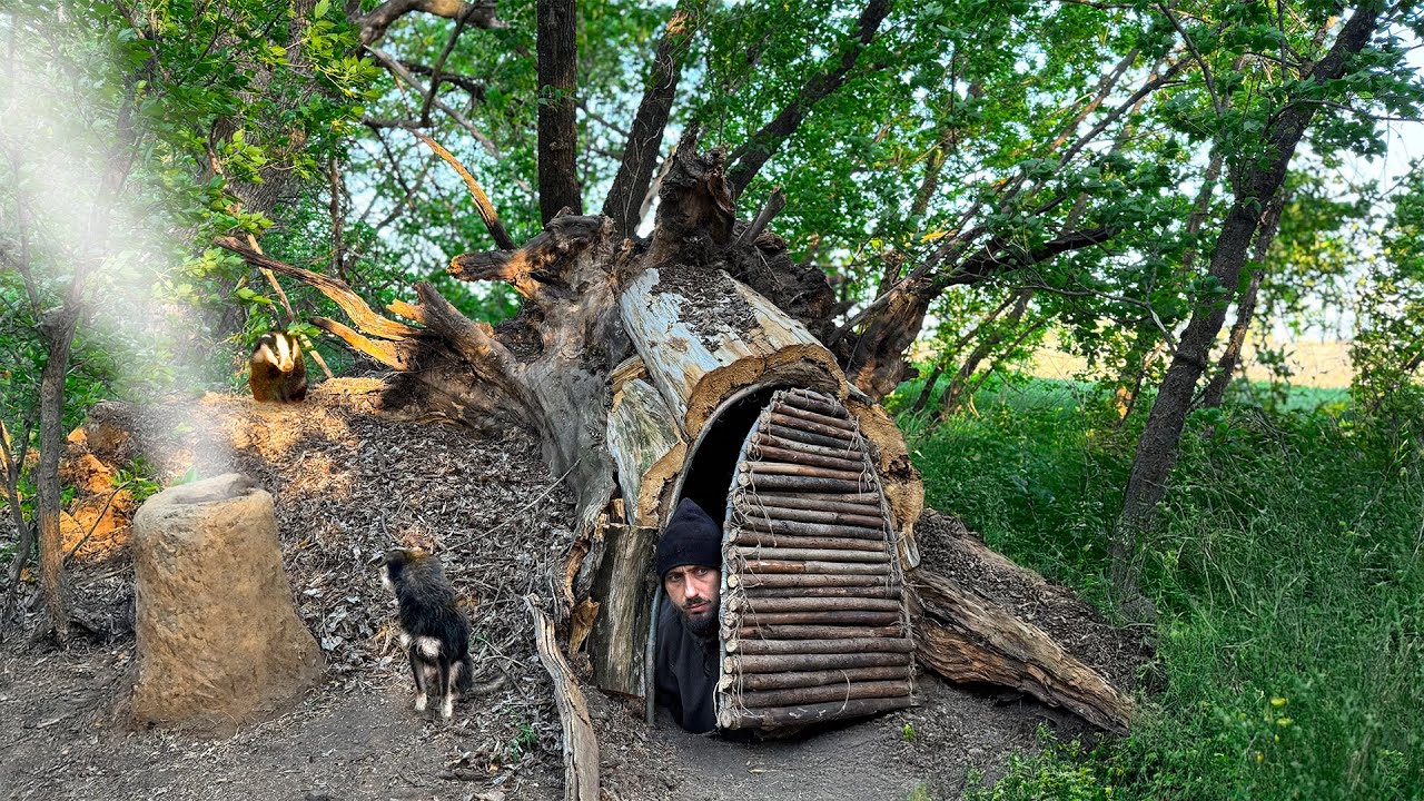 Building a warm and cozy survival shelter deep inside a large tree.Bushcraft