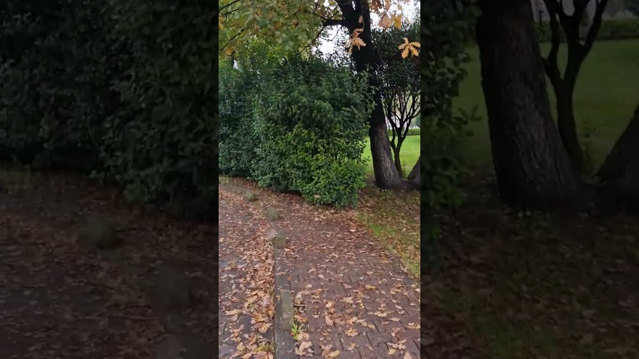 ihlas kaplica evleri kuzuluk