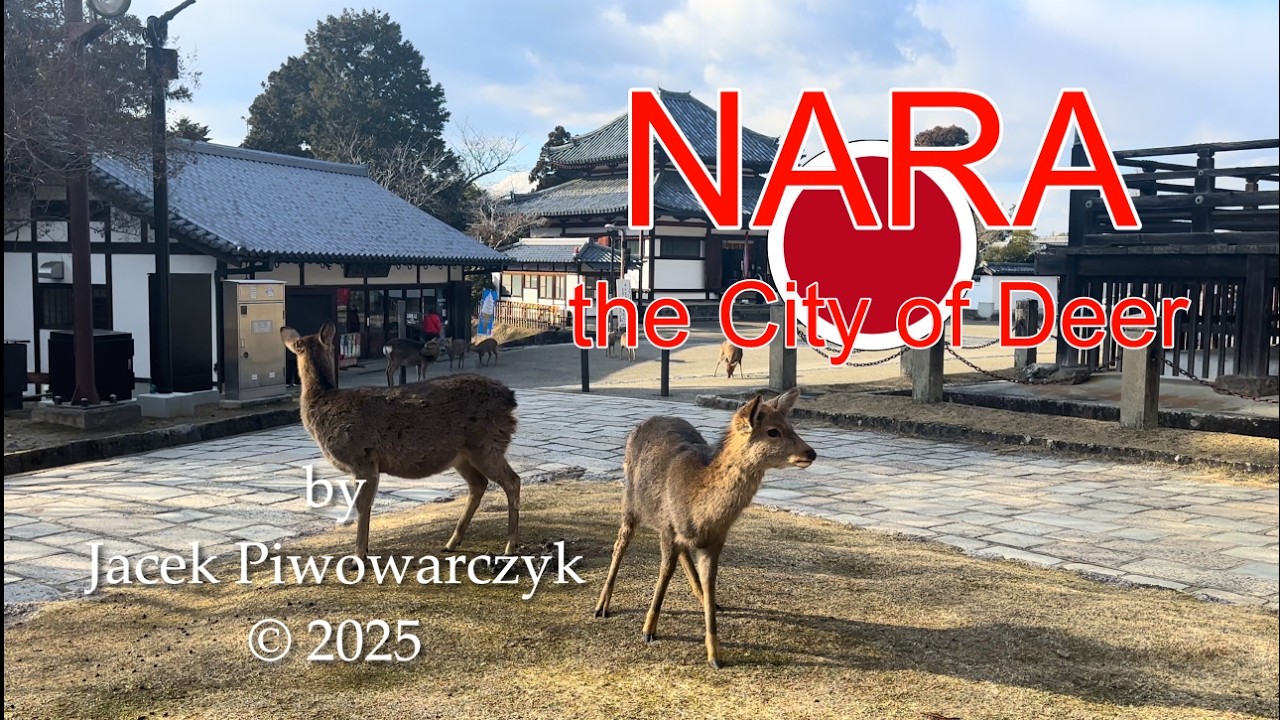 Nara - the City of Deer 2025 4K