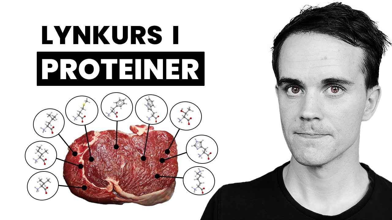 Lynkurs i Proteiner