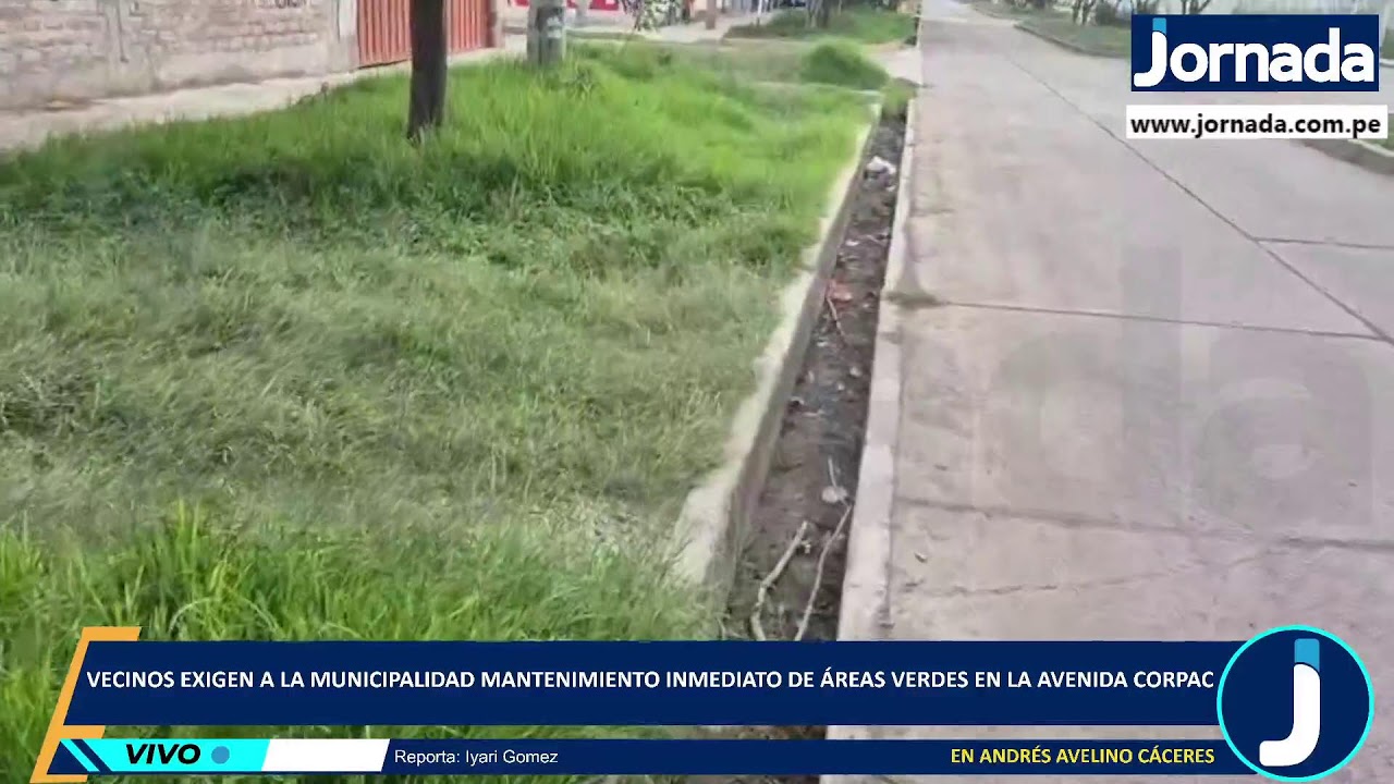 Vecinos de Andrés Avelino Cáceres exigen a la municipalidad mantenimiento inmediato de áreas verdes