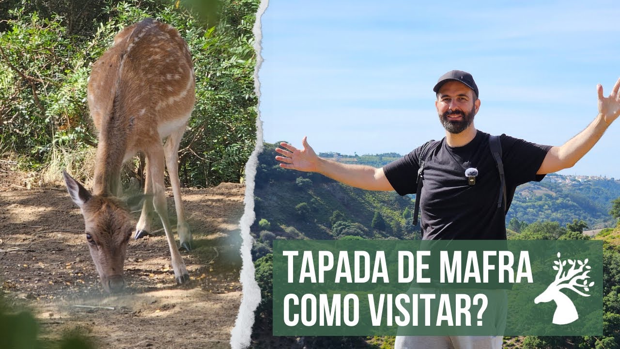 Tapada de Mafra, Como Visitar?