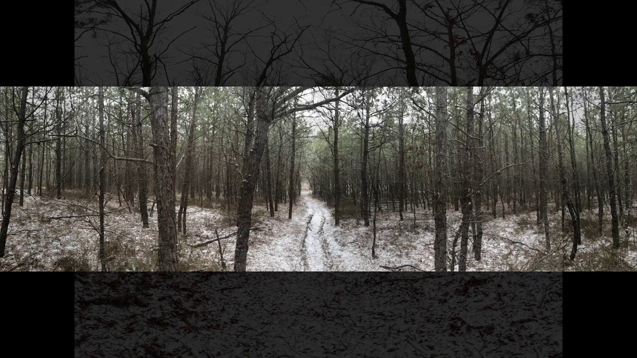 Day hiking Paumanok trail Rocky Point Long Island New York