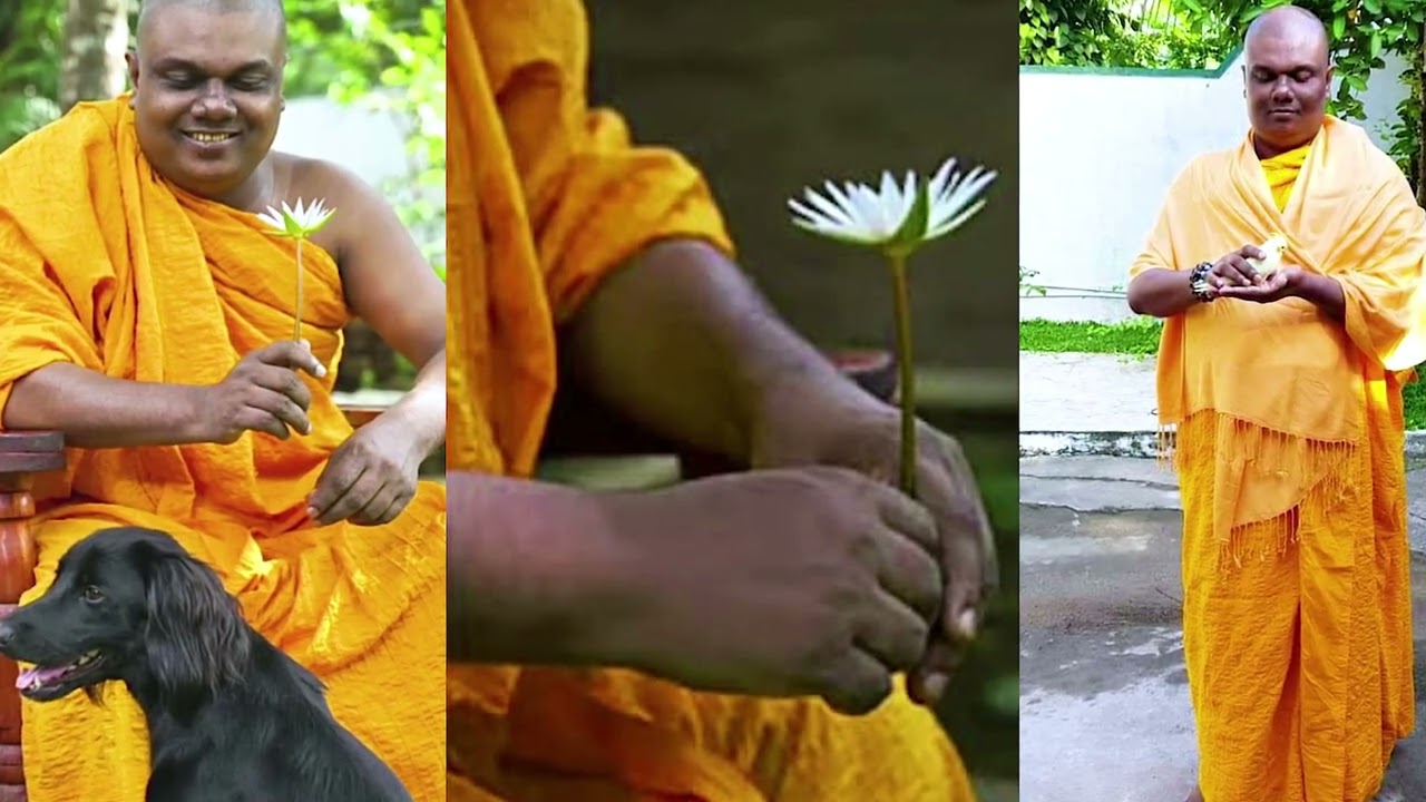 සියළු දේ අත්හැරුම පමණයි සැබෑ ජීවිතයම කියා