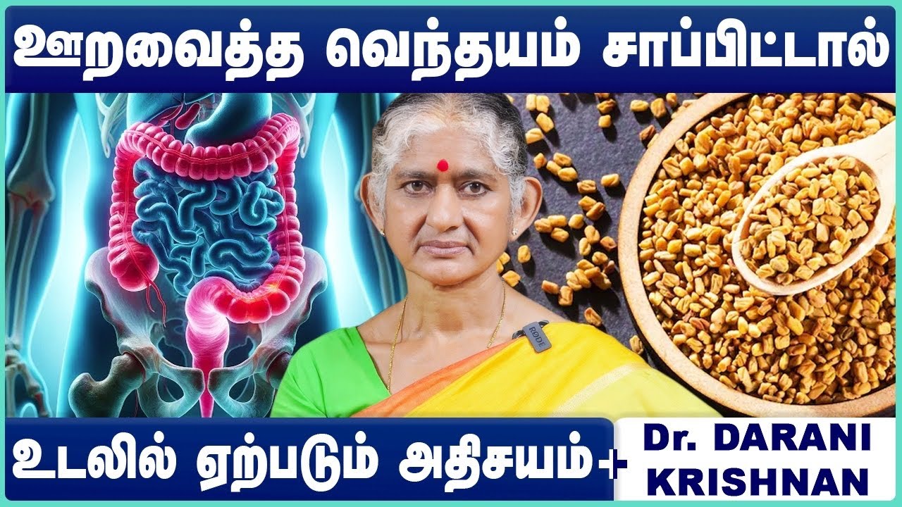 வெந்தயம் மருத்துவ நன்மைகள் | Top 10 Health Benefits of Soaked Fenugreek Seeds in Tamil | venthayam
