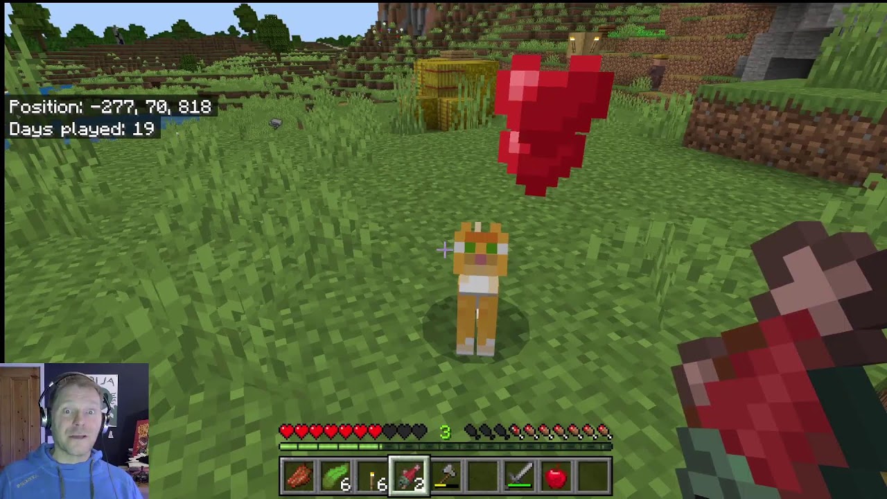 Minecraft Challenges