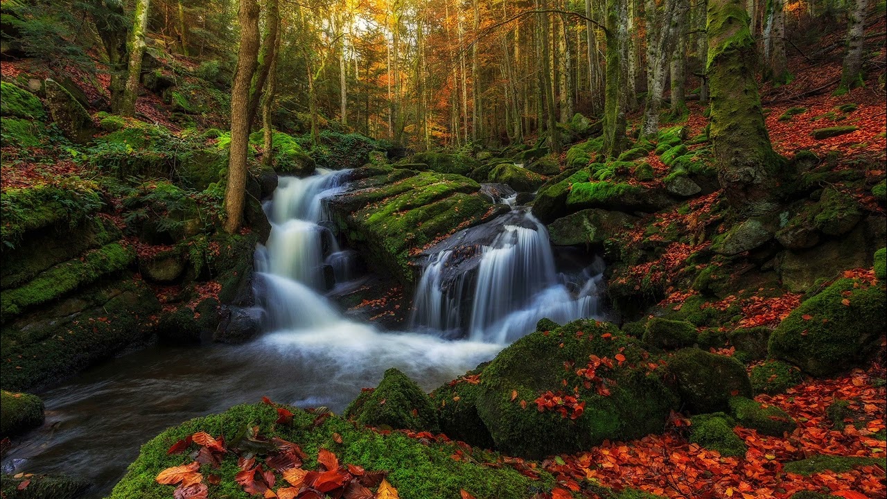 Peaceful music for deep sleep & meditation