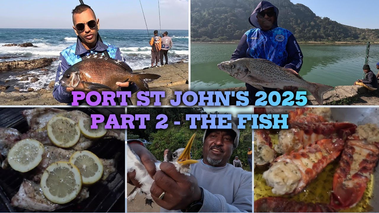 PORT ST JOHN'S 2025 PART 2 - THE FISH