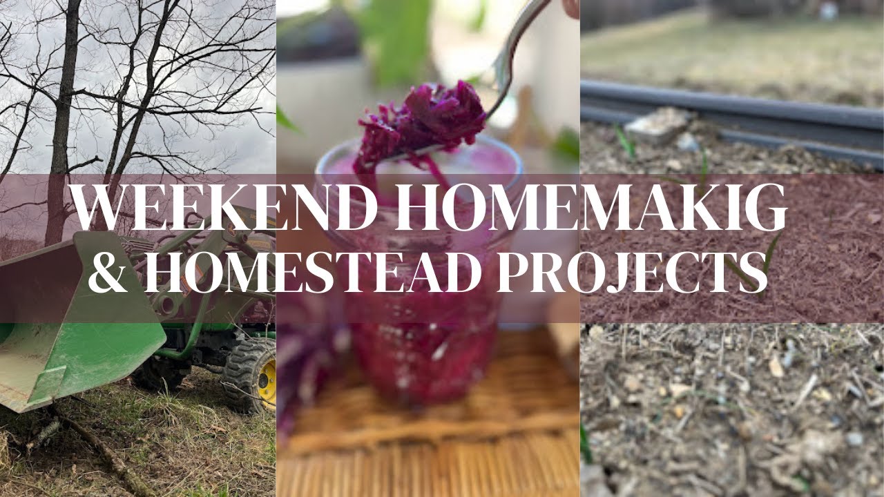 Busy WEEKEND On The HOMESTEAD | HOMEMAKING | Cooking | OUTDOOR Projects