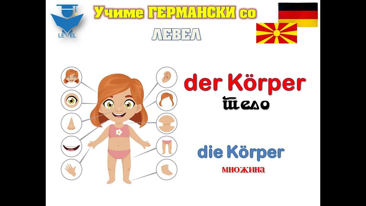 GERMANSKI za pocetnici so LEVEL - Lekcija 9 (Die Körperteile)