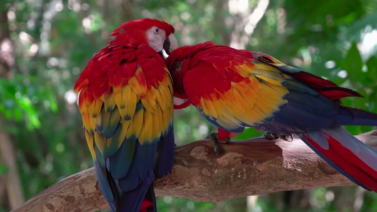 Nature&rsquo;s Creations - JDoug