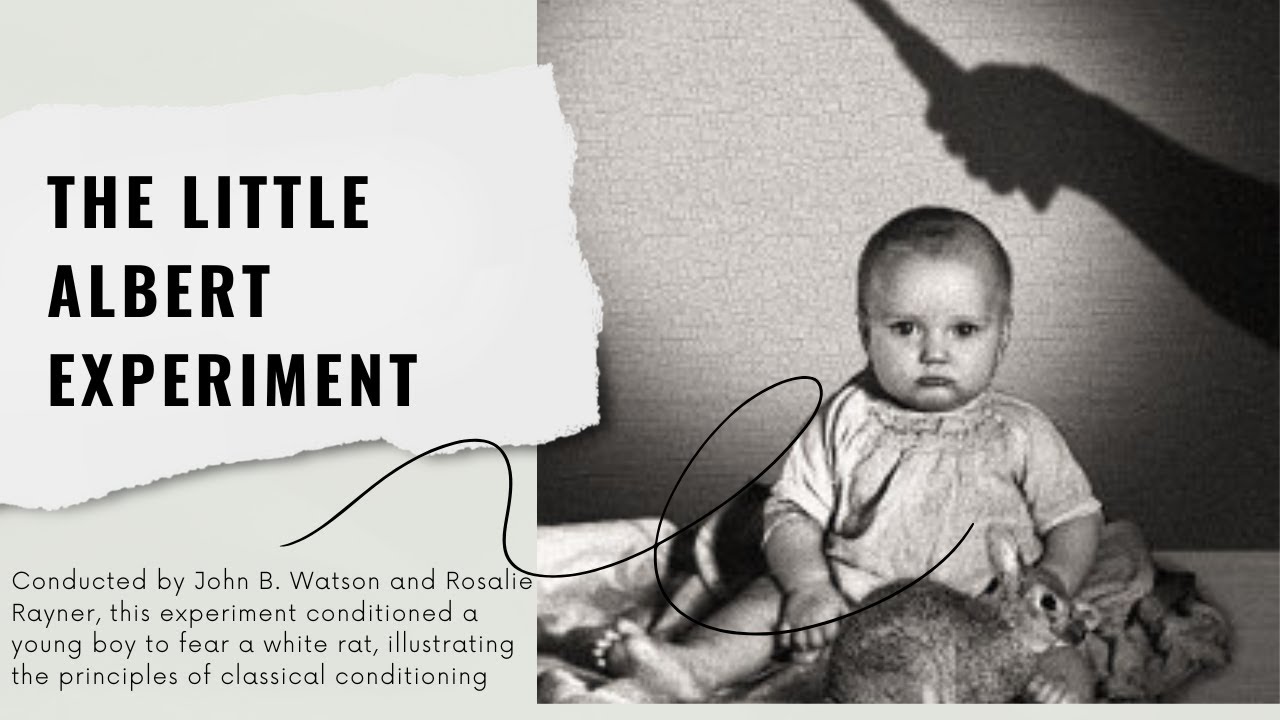 The Little Albert Experiment | Psychology Explained