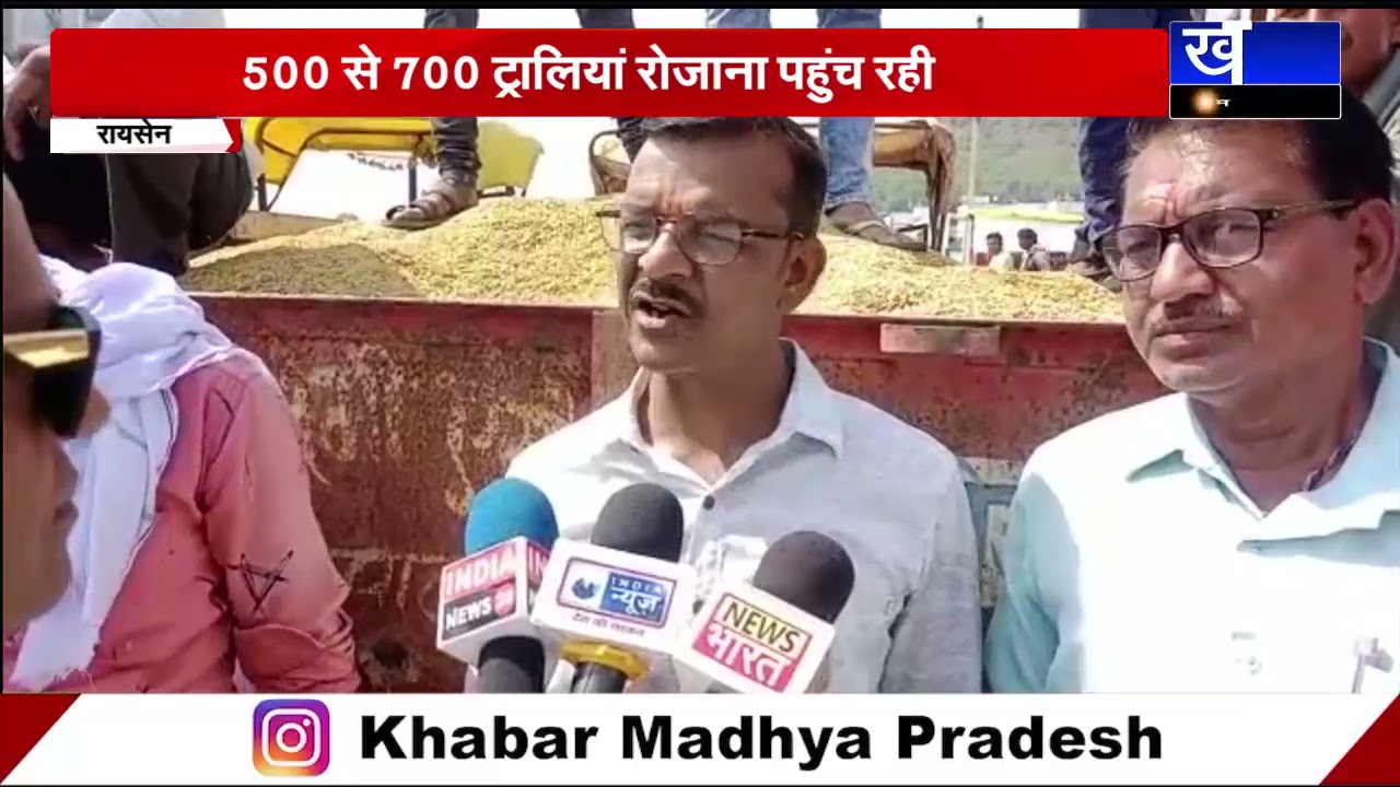 RAISEN - मंडी में धान की बंपर आवक, उचित कीमत नहीं मिलने से किसान नाखुश