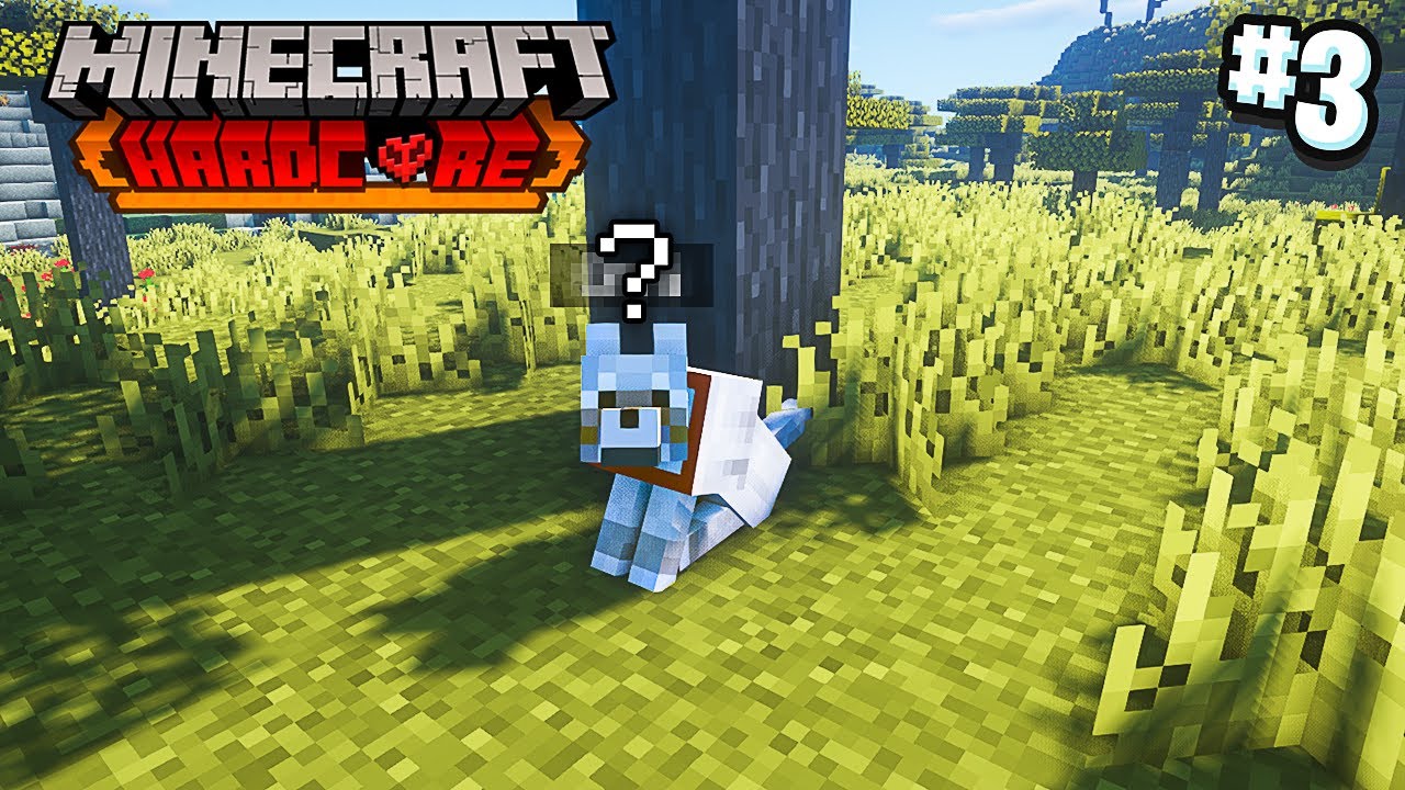 KOIRAN NIMI ON.. | Minecraft Hardcore #3