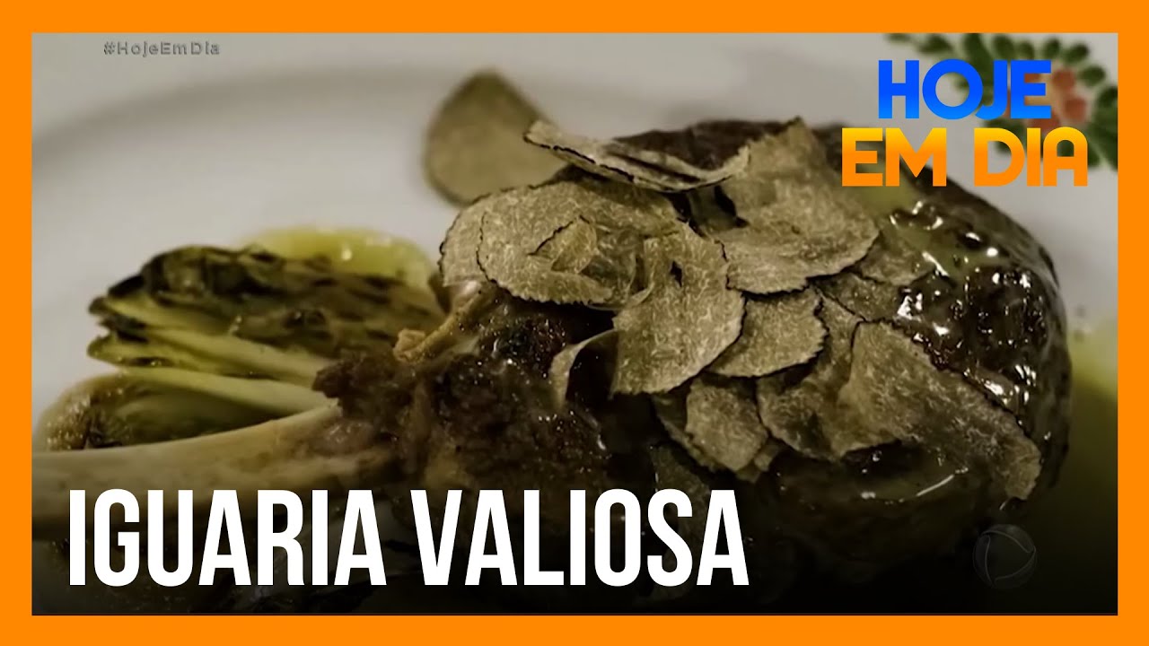 Descoberta de trufas valiosas em solo brasileiro empolga muita gente