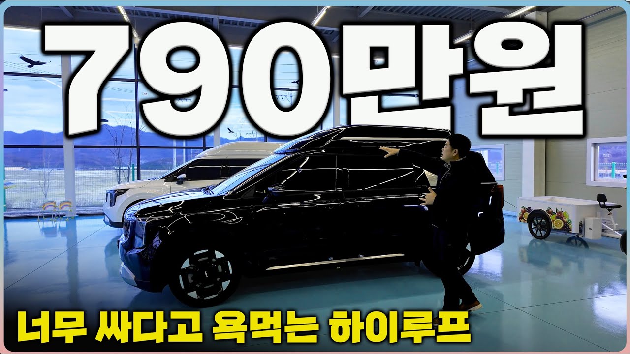 욕먹을 각오하고 최저가 하이루프 쏩니다~ 놓치면 후회막심 최고안전등급 #다음기술