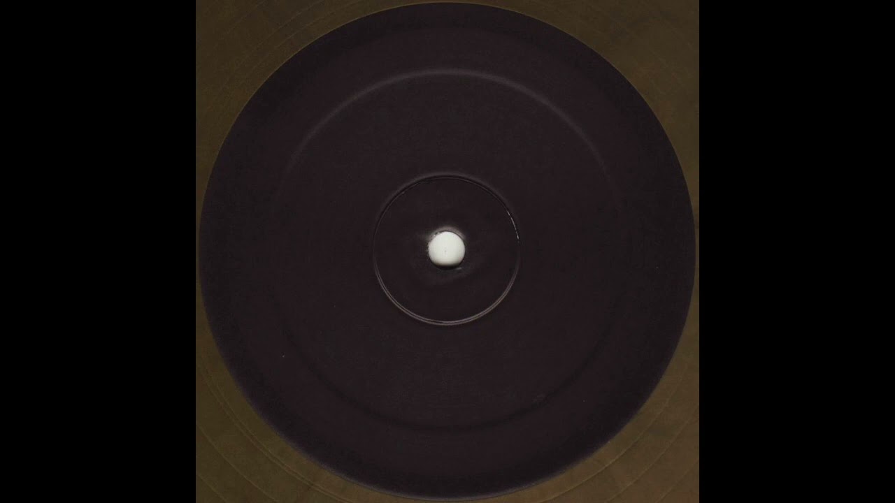 Ryan James Ford - Fish Flakes