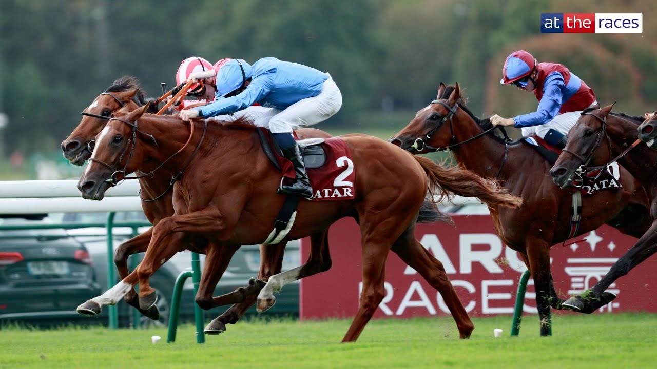 CUALIFICAR WINS THE PRIX NIEL! | Cualificar enhances his Arc claims with dramatic win the G2 company