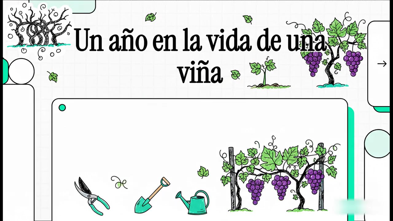 Trabajo anual en la viña