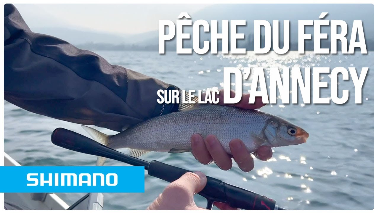 PÊCHE DE LA FÉRA AU LAC D'ANNECY À LA GAMBE !