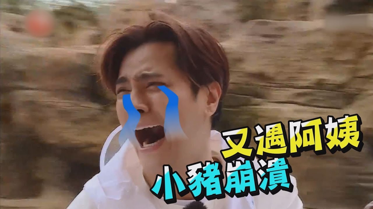 【極限挑戰】小豬又遇大媽崩潰到笑！心累到朱碧石上身？！