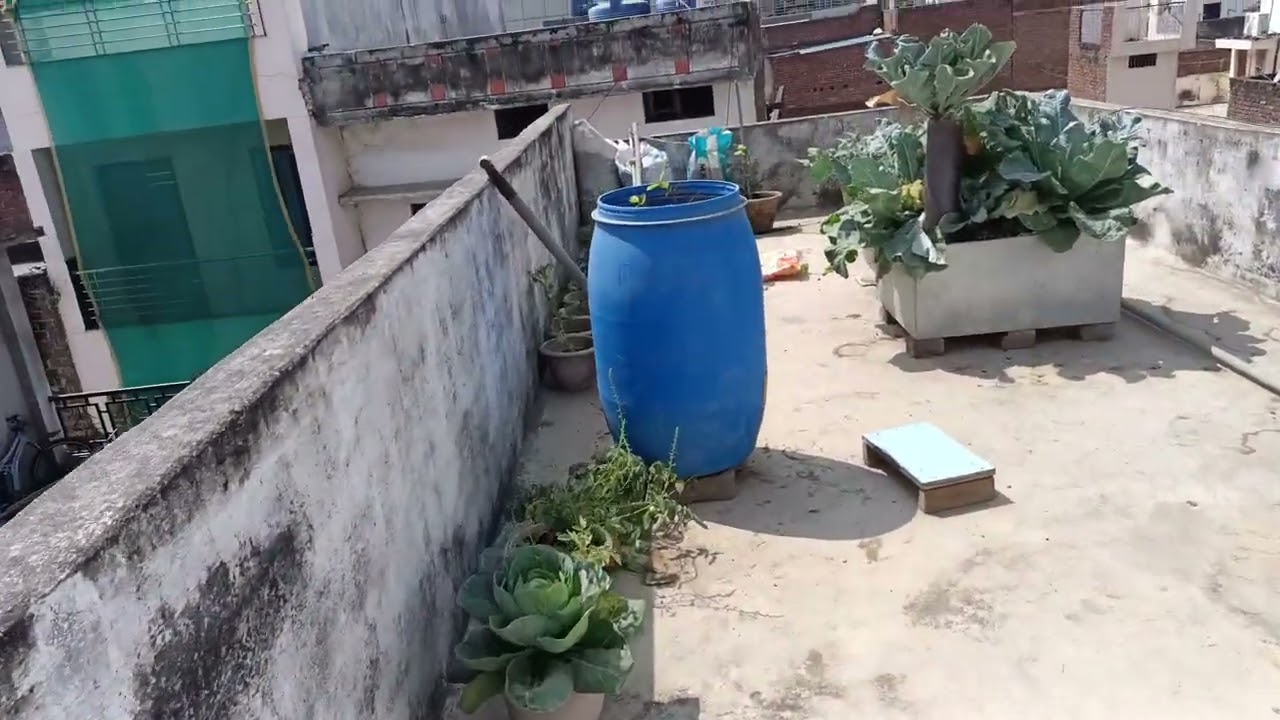 Aj mujhe mere terrace garden me kitna Sara tameto mila