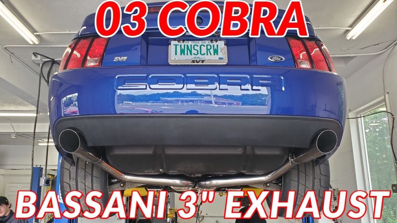 03 SVT Cobra: Bassani 3